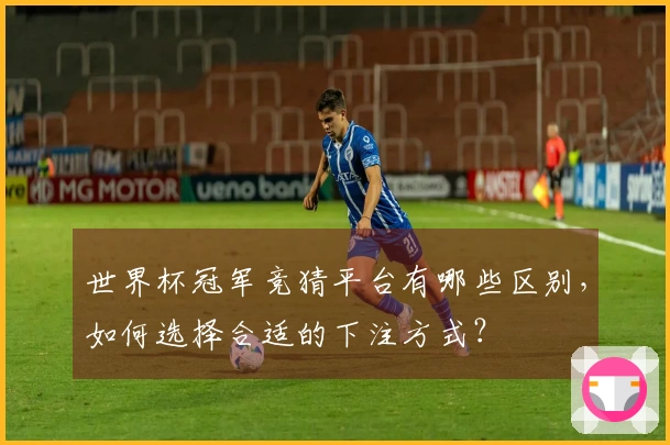 世界杯冠军竞猜平台有哪些区别，如何选择合适的下注方式？